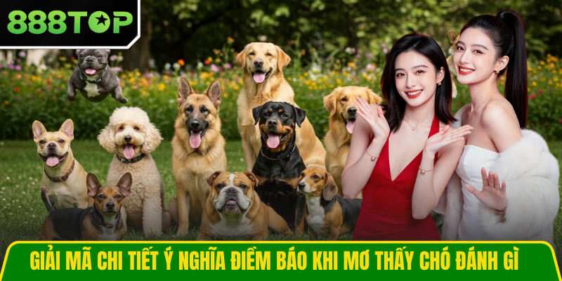 Giải mã chi tiết ý nghĩa điềm báo khi mơ thấy chó đánh gì Giải mã chi tiết ý nghĩa điềm báo khi mơ thấy chó đánh gì