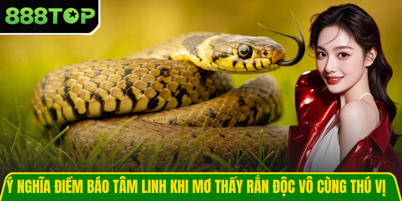 Ý nghĩa điềm báo tâm linh khi mơ thấy rắn độc vô cùng thú vị Ý nghĩa điềm báo tâm linh khi mơ thấy rắn độc vô cùng thú vị